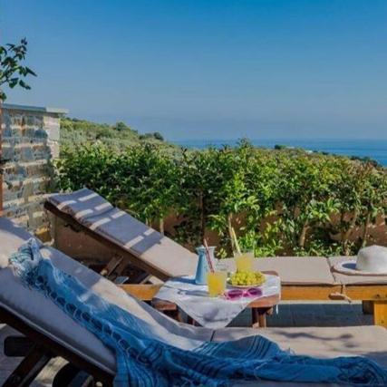 Villa Alegria Skopelos Dış mekan fotoğraf